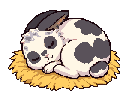 Octavian, a black-and-white spotted rabbit, asleep on a nest of straw under a giant four-leaf clover